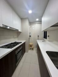 Riversound Residence (D19), Condominium #498642711